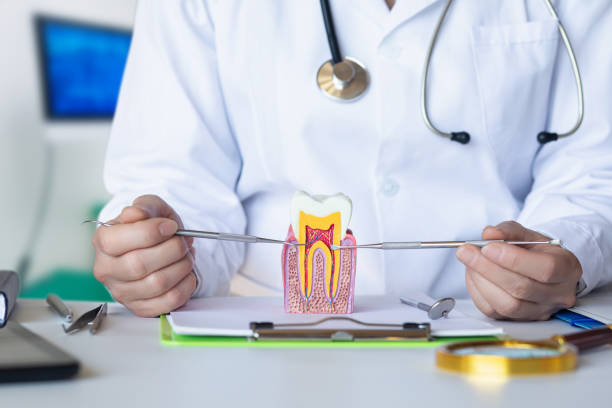 Best Emergency Tooth Extraction in Savage, MN
